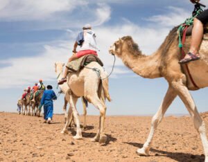 Es una imagen de aventura del desierto con una fila de camellos